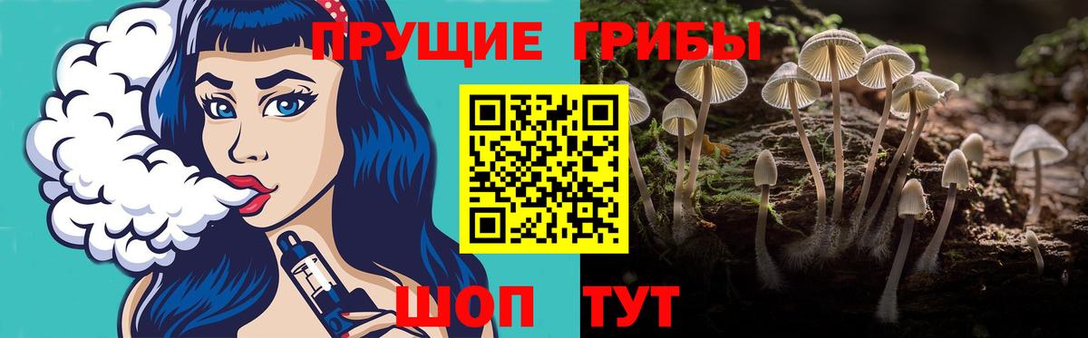 Галлюциногенные грибы MAGIC MUSHROOMS Серов