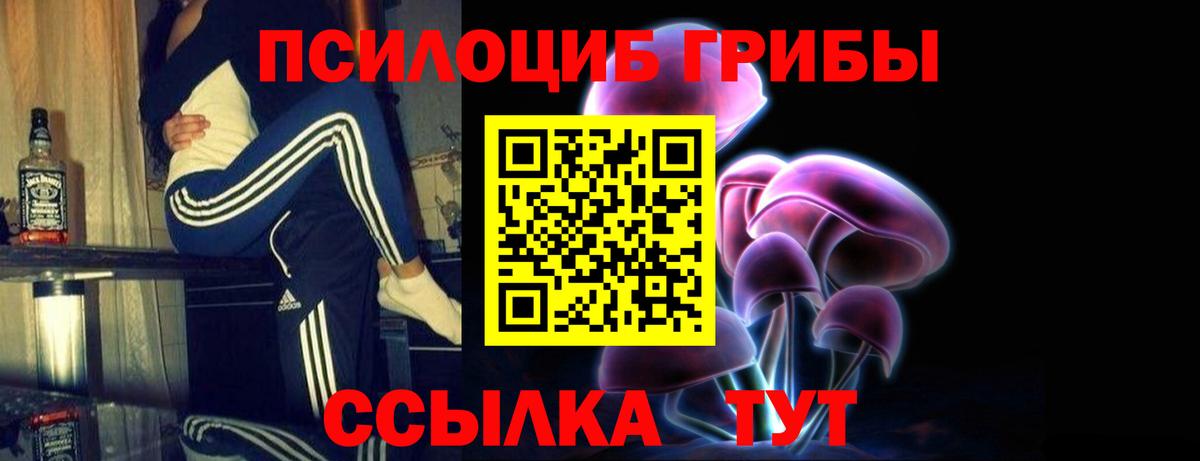Серов  Галлюциногенные грибы Psilocybine cubensis  Вход с VPN 