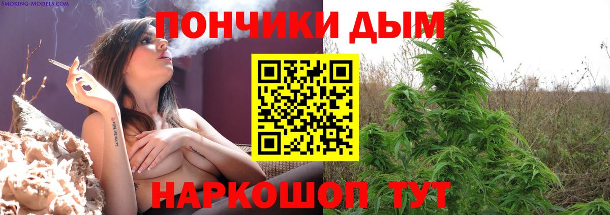 Канабис семена  Бошки Шишки сатива  Конопля LSD WEED  Каннабис ГИДРОПОН  Вход с VPN  Серов 